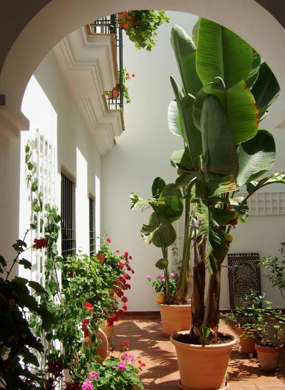 Casa Atlantica Beautiful Apartments ロタ エクステリア 写真
